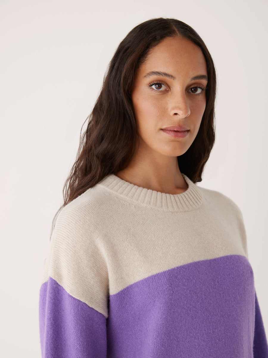 Colorblock Fleece Pullover in Biscotti - FINAL SALE