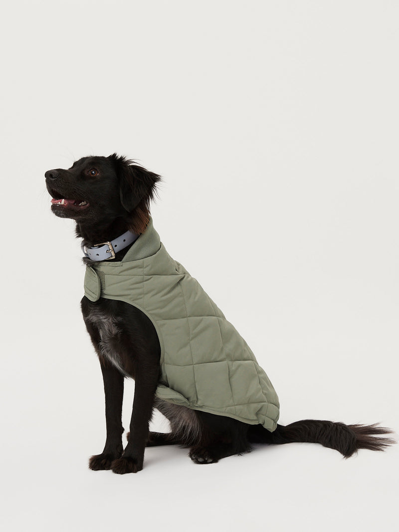 Quilted dog jacket hotsell