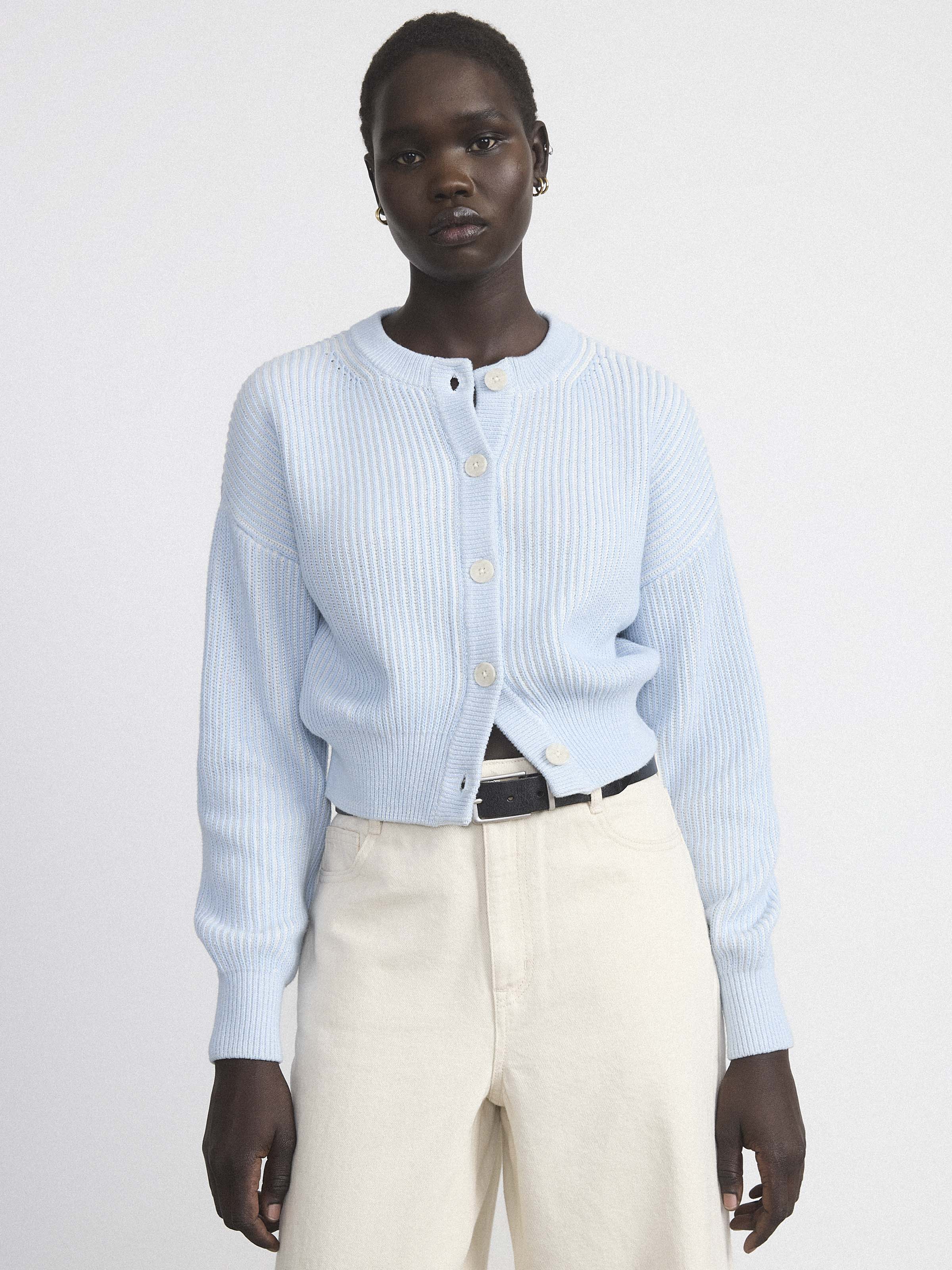 K★　0728 The Bubble Sleeve Cardigan in Light Blue – Frank And Oak Canada